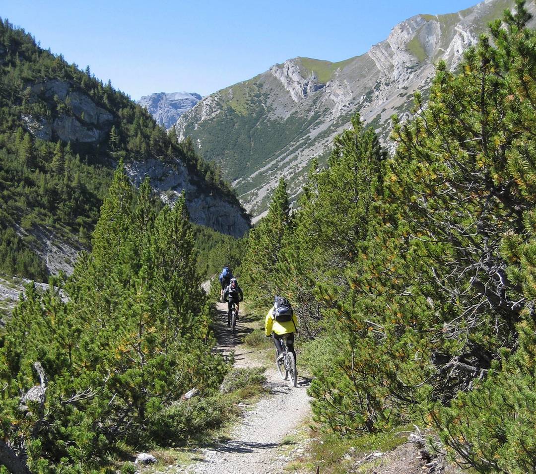 Trail durch Krüppelkiefern im Val Mora