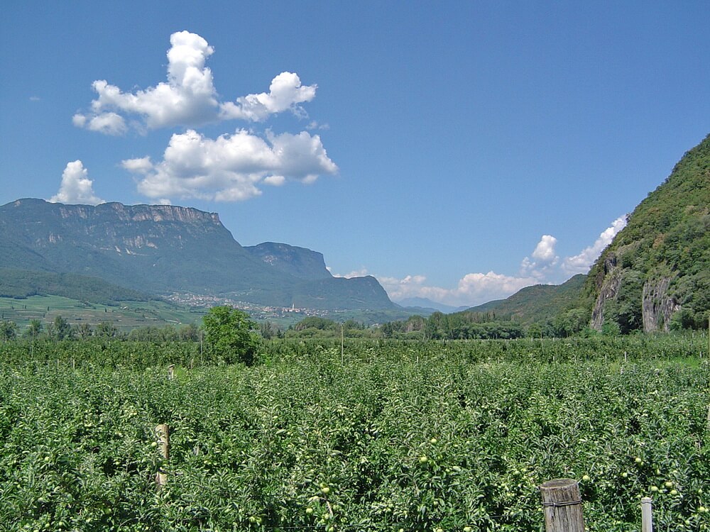 Durch die Apfelplantagen in Südtirol