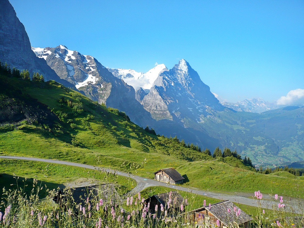 Blick von der Großen Scheidegg zu Eiger (3970 m) und Mönch (4107 m)
