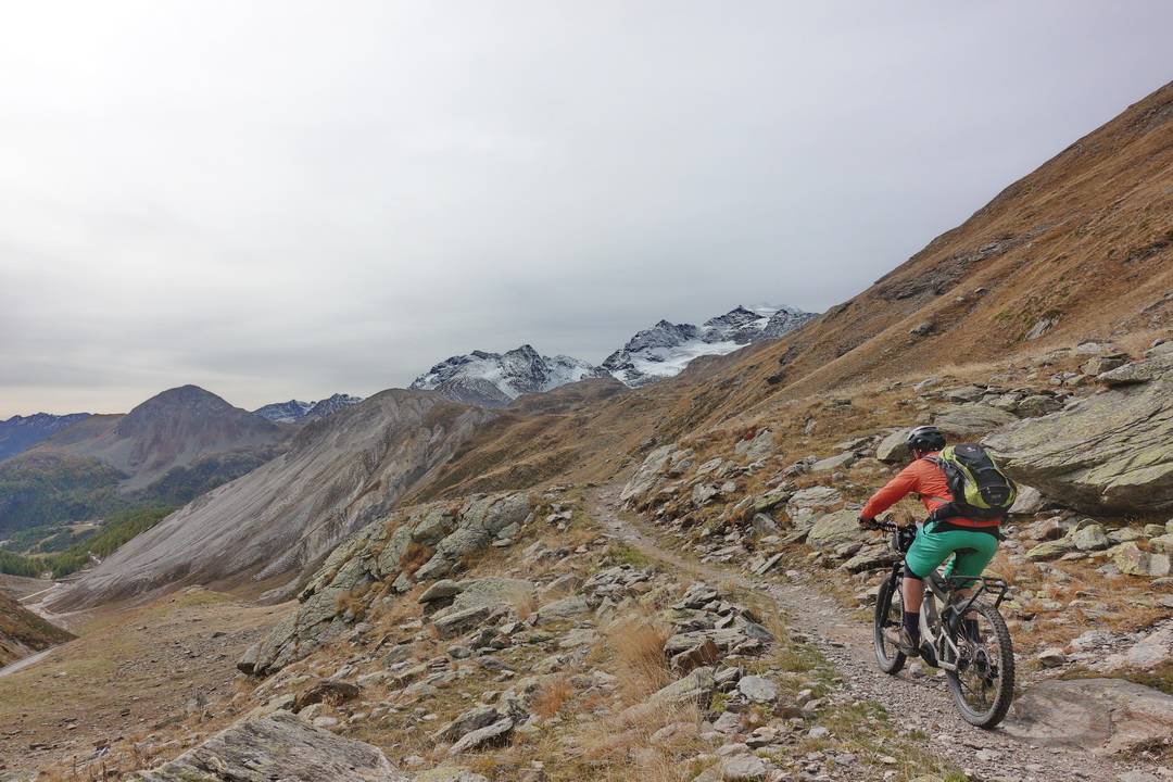Marmotta Trail: Blick zum Bernina Massiv