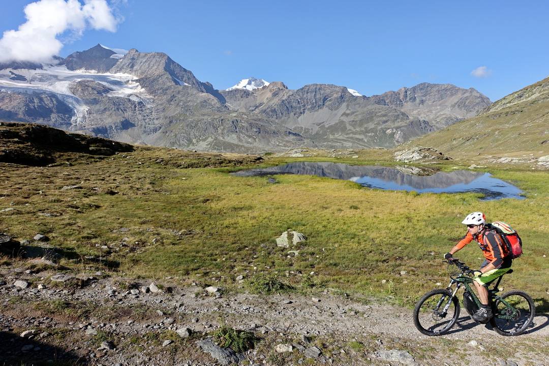 Marmotta Trail mit Berninamassiv im Hintergrund