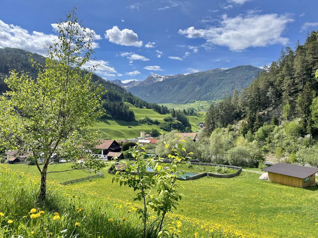 Frühling im Wipptal in Tirol in der Nähe von Steinach am Brenner