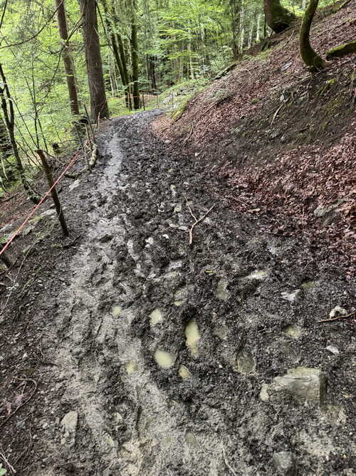 Matschtrail