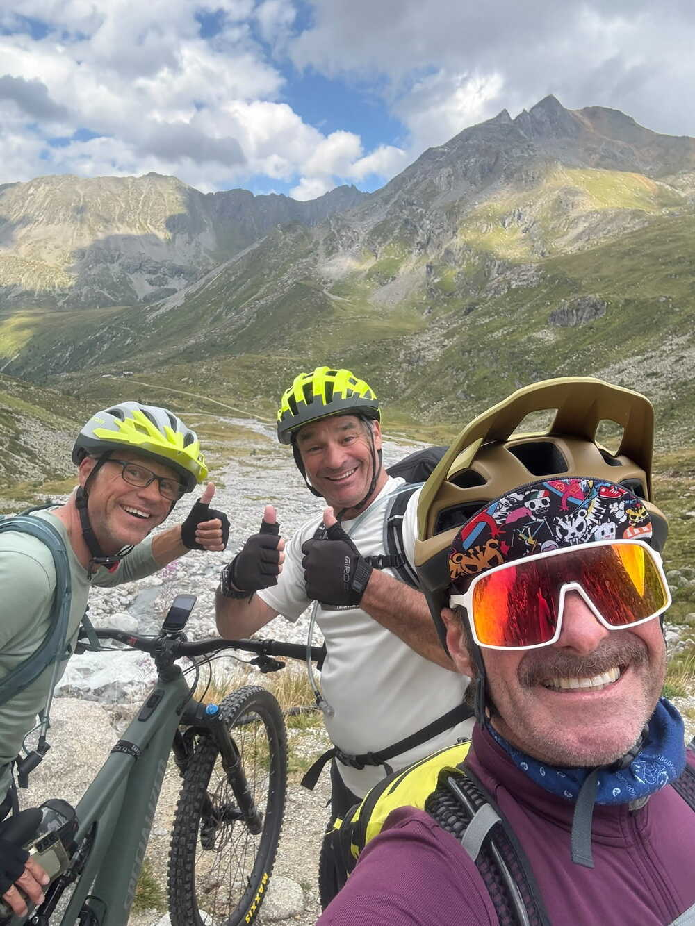 Björn auf Tour